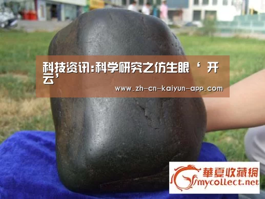 科技资讯:科学研究之仿生眼‘ 开云’(图1) 开云App官方下载入口