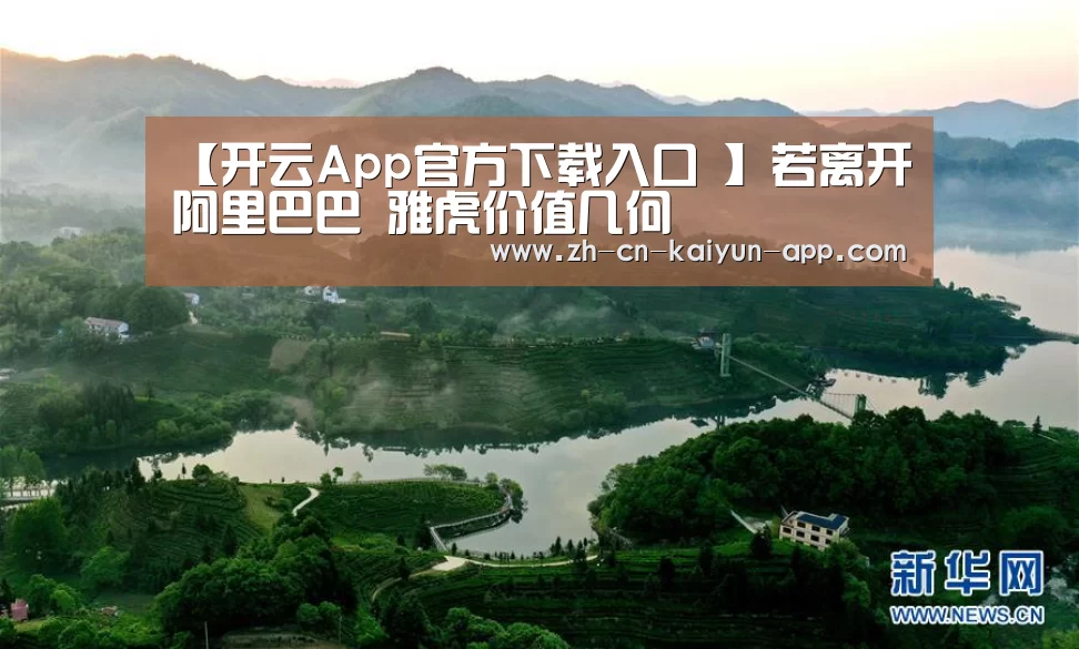 【开云App官方下载入口 】若离开阿里巴巴 雅虎价值几何(图3) 开云App官方下载入口